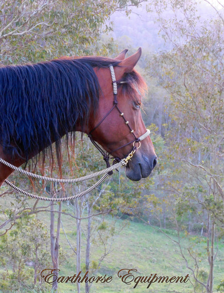 Sliding chin riding halter/reins set with V brow, dark brown/beige zig zag, turks head cheek accents