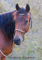 Sliding chin riding halter/reins set with V brow, dark brown/beige zig zag, turks head cheek accents