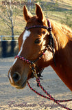 Sliding chin riding halter/reins set with V brow, black and "Desert Rose" turks head accents