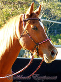 Sliding chin riding halter/reins set with V brow, black and "Desert Rose" turks head accents