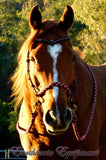 Sliding chin riding halter/reins set with V brow, black and "Desert Rose" turks head accents