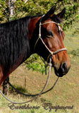 Pre made-Sliding chin riding halter and reins set FULL, beige, dark brown zig zag