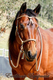 Pre made-Sliding chin riding halter and reins set FULL, beige, dark brown zig zag