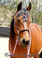 Pre made-Sliding chin riding halter/reins set with Western knot brow "Lilac Shimmer"