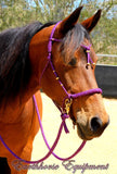 Pre made-Sliding chin riding halter/reins set with Western knot brow "Plum" Brass