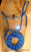 Standard halter and 12ft lead set "Northern Lights"