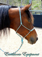 Pre made standard halter and lead set aqua/beige/brown