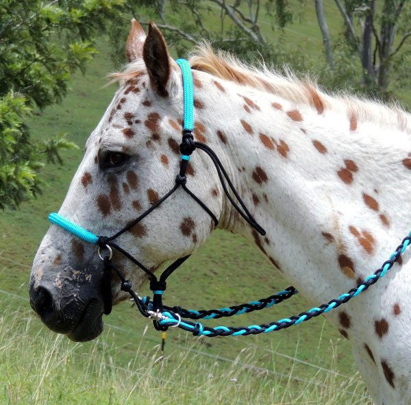 Adjustable sidepull, padded black turquoise padding