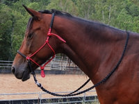 Adjustable sidepull, padded, red with black padding