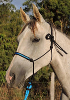 Marine rope Inset noseband rope halter, many coloured insets