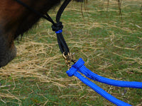 Padded riding halter without chinstrap, V brow