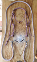 Bitted bridle head, standard style.