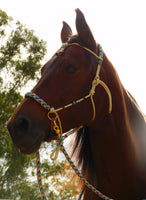 Sliding chin riding halter and reins set, "Arizona Sky" with western brow and cheek accents