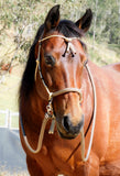 Sliding chin riding halter/Marine rope reins set with western brow, beige, dark brown zz, turks head accents.