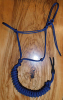 Standard halter and 12ft lead set NAVY