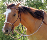 Sliding chin riding halter in burgundy with beige/brown padding.