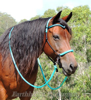 V brow Sliding chin riding halter and reins set in black and turquoise