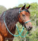 V brow Sliding chin riding halter and reins set in black and turquoise