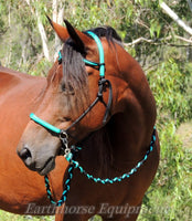 V brow Sliding chin riding halter and reins set in black and turquoise