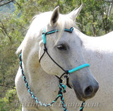 V brow Sliding chin riding halter and reins set in black and turquoise