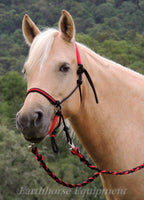 Adjustable sidepull, inset noseband black and red,RIDING HALTER ONLY