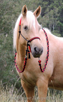 Adjustable sidepull, inset noseband black and red,RIDING HALTER ONLY