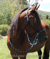 Adjustable sidepull, inset noseband black and blue.