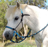 Adjustable sidepull, inset noseband black and blue.