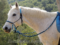 Adjustable sidepull, inset noseband black and blue.