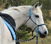 Adjustable sidepull, inset noseband black and blue.