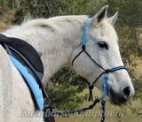 Adjustable sidepull, inset noseband black and blue.