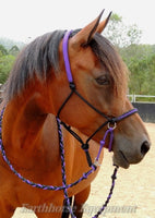 Adjustable sidepull, inset noseband black and purple