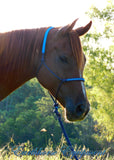 Inset noseband halter with padded poll and lead set in NAVY and CYAN blue