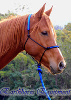 Inset/padded poll halter and lead set in black and royal blue