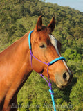 Padded halter, nose and poll