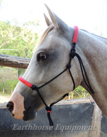 Padded halter, nose and poll