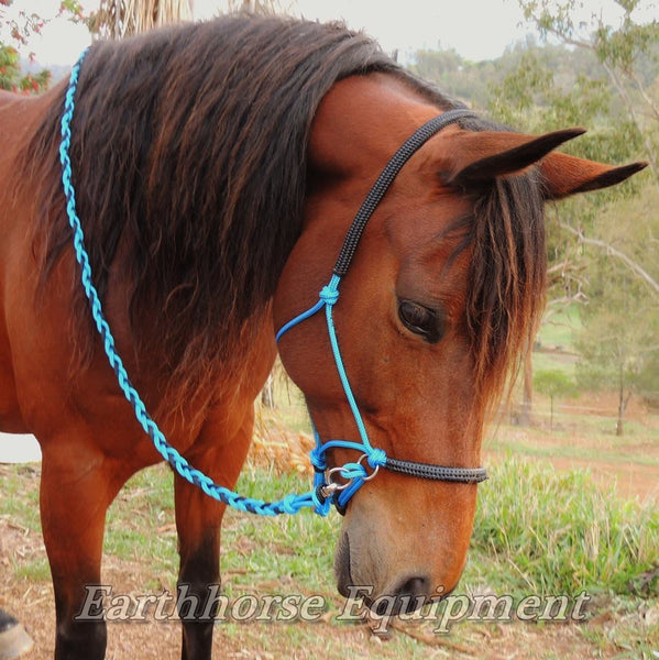 Sliding chin riding halter, basic padded, Blue/black padding,riding halter only.