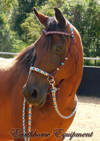 Sliding chin riding halter/reins set,V brow, Burgundy with "Arizona Sky" padding/inset/reins