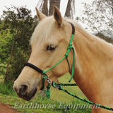 Sliding chin riding halter, basic padded, Green/black padding,riding halter only.