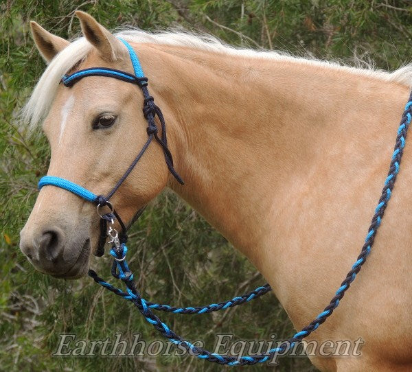 Sliding chin riding halter with V brow and reins navy and cyan blue