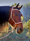 V brow sliding chin riding halter and reins set, beige with beige/brown zig zag padding/reins.