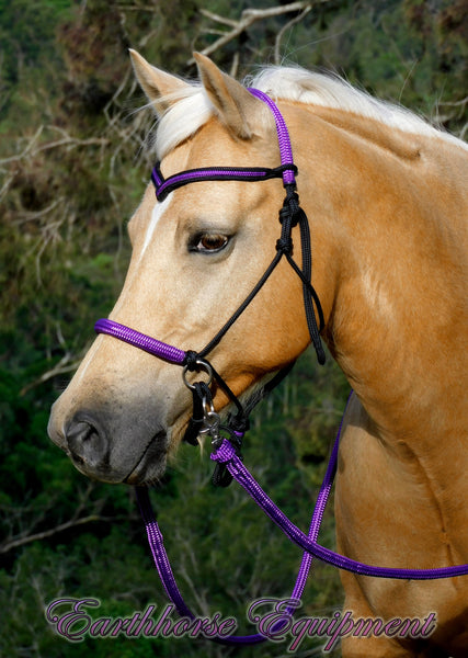 Sliding chin riding halter and reins set with V brow black/purple