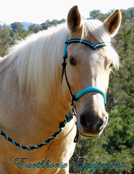 V brow Sliding chin riding halter and reins set in black and turquoise