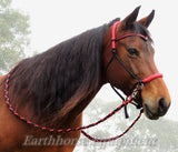 V brow Sliding chin riding halter and reins set in black and red