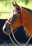 Sliding chin riding halter/reins set,V brow, Burgundy with "Arizona Sky" padding/inset/reins