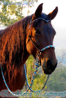 Sliding chin riding halter, V brow, dark brown with "Arizona Sky" padding/reins