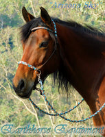 Sliding chin riding halter, V brow, dark brown with "Arizona Sky" padding/reins