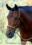 Sliding chin riding halter/reins set with V brow, dark brown "Arizona Sky" turks head accents