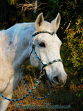 Sliding Chin riding halter/reins with V brow,"Apache Dream", black base, turks head accents