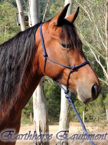 Halter and leadrope sets – Earthhorse equipment